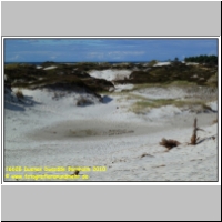 16628 Duenen Dueodde Bornholm 2010.JPG